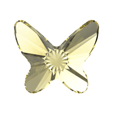 2854 MM 12 JONQUIL F
